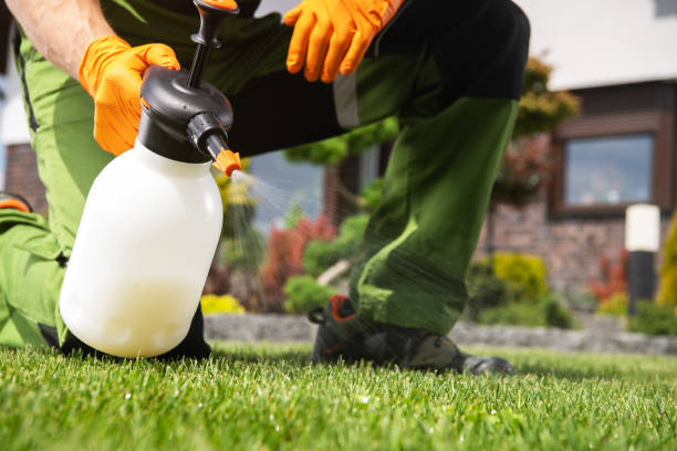 Best Mosquito Control Services  in Ralston, NE