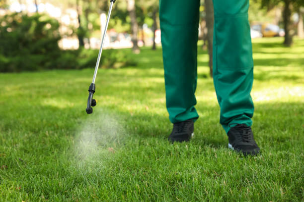Best Flea Control Services  in Ralston, NE
