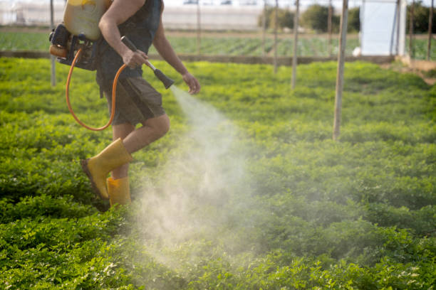 Best Wildlife Control Services  in Ralston, NE