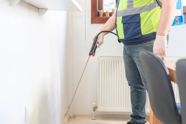 Flea Control Services in Ralston, NE