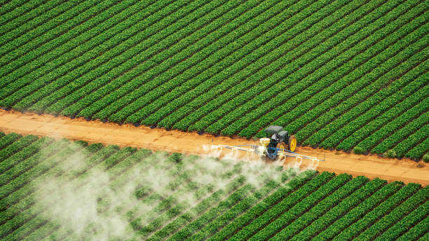 Professional Pest Control in Ralston, NE